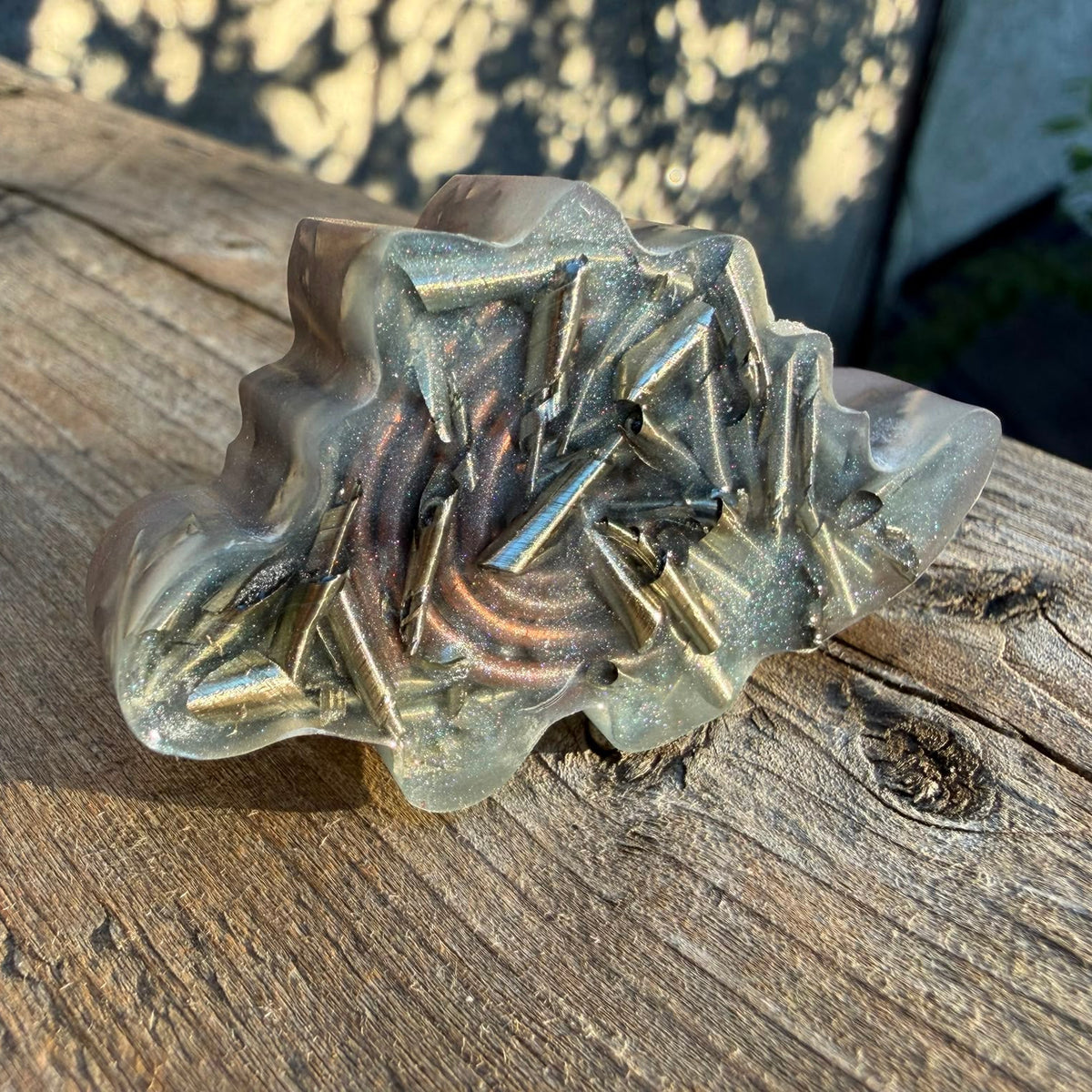 Lil' Dinos 🦖🦕